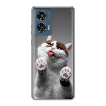 Силиконовый чехол на Motorola Edge 50 Fusion с принтом Коты Силиконовый чехол на Motorola Edge 50 Fusion с принтом Коты