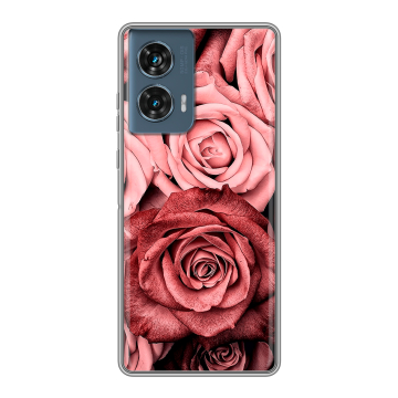 Силиконовый чехол на Motorola Edge 50 Fusion с принтом Цветы розы Силиконовый чехол на Motorola Edge 50 Fusion с принтом Цветы розы