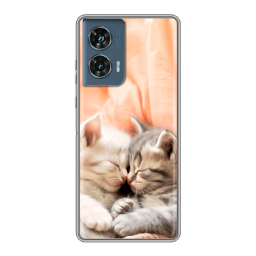 Силиконовый чехол на Motorola Edge 50 Fusion с принтом Котята Силиконовый чехол на Motorola Edge 50 Fusion с принтом Котята