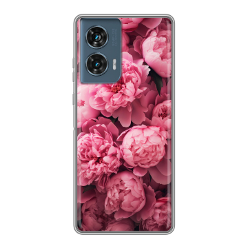 Силиконовый чехол на Motorola Edge 50 Fusion с принтом цветы пионы Силиконовый чехол на Motorola Edge 50 Fusion с принтом цветы пионы