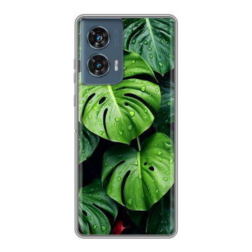 Силиконовый чехол на Motorola Edge 50 Fusion с принтом Листья Силиконовый чехол на Motorola Edge 50 Fusion с принтом Листья