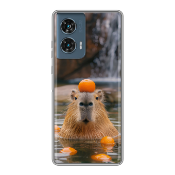 Силиконовый чехол на Motorola Edge 50 Fusion с принтом Капибара с апельсином Силиконовый чехол на Motorola Edge 50 Fusion с принтом Капибара с апельсином