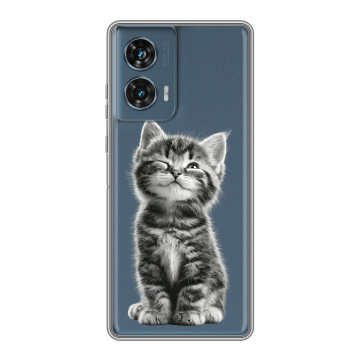 Силиконовый чехол на Motorola Edge 50 Fusion с принтом Котенок Силиконовый чехол на Motorola Edge 50 Fusion с принтом Котенок