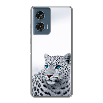 Силиконовый чехол на Motorola Edge 50 Fusion с принтом женский Силиконовый чехол на Motorola Edge 50 Fusion с принтом женский