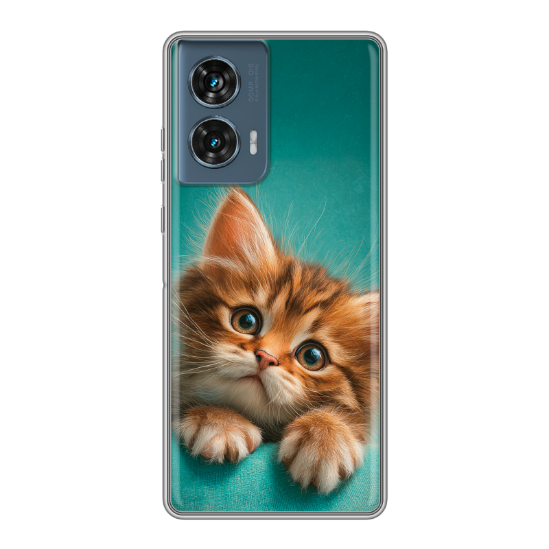 Силиконовый чехол на Motorola Edge 50 Fusion с принтом котенок Силиконовый чехол на Motorola Edge 50 Fusion с принтом котенок