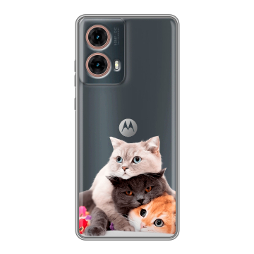 Силиконовый чехол на Motorola Moto G85 с принтом Кошки