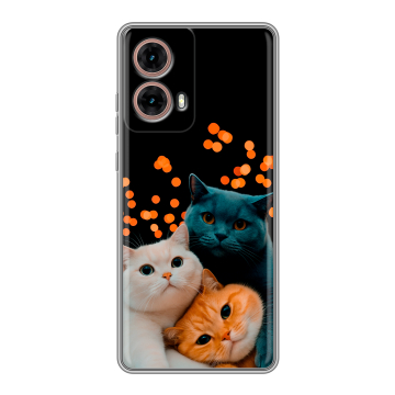 Силиконовый чехол на Motorola Moto G85 с принтом Кошки