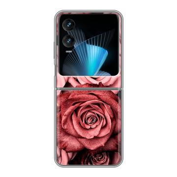 Пластиковый чехол на Infinix Zero Flip с принтом Цветы розы Пластиковый чехол на Infinix Zero Flip с принтом Цветы розы