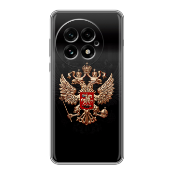 Силиконовый чехол на OnePlus 13 с принтом Герб России