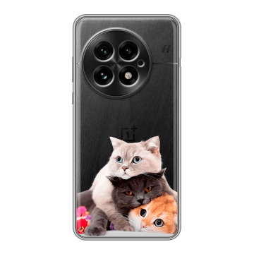Силиконовый чехол на OnePlus 13 с принтом Кошки