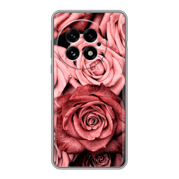 Силиконовый чехол на OnePlus 13 с принтом Цветы розы Силиконовый чехол на OnePlus 13 с принтом Цветы розы