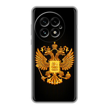 Силиконовый чехол на OnePlus 13 с принтом Герб России желтый Силиконовый чехол на OnePlus 13 с принтом Герб России желтый