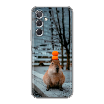Силиконовый чехол на Samsung Galaxy A26 5g с принтом капибара Силиконовый чехол на Samsung Galaxy A26 5g с принтом капибара