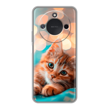 Силиконовый чехол на Honor X9c Smart с принтом котик