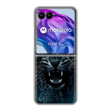 Пластиковый чехол на Motorola Razr 50 Ultra с принтом Темный леопард