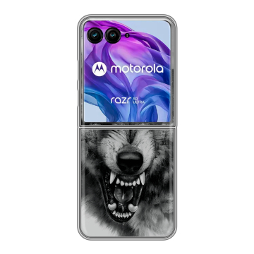 Пластиковый чехол на Motorola Razr 50 Ultra с принтом Волк