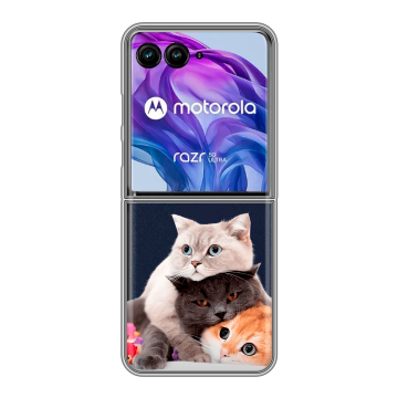 Пластиковый чехол на Motorola Razr 50 Ultra с принтом Кошки