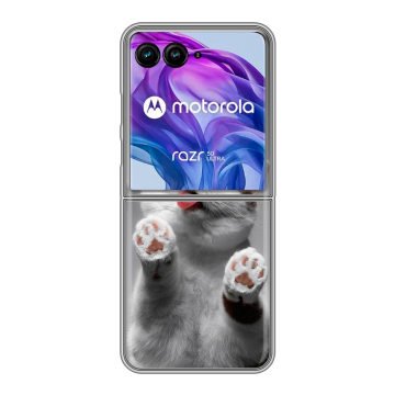 Пластиковый чехол на Motorola Razr 50 Ultra с принтом Коты