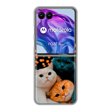 Пластиковый чехол на Motorola Razr 50 Ultra с принтом Кошки