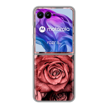 Пластиковый чехол на Motorola Razr 50 Ultra с принтом Цветы розы
