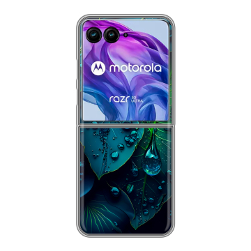Пластиковый чехол на Motorola Razr 50 Ultra с принтом Листья