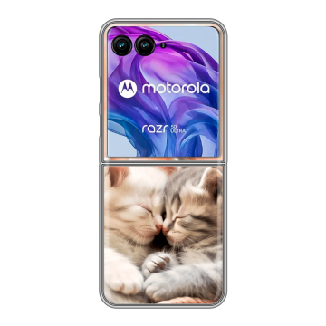Пластиковый чехол на Motorola Razr 50 Ultra с принтом Котята