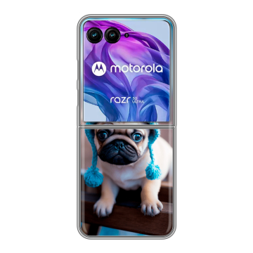 Пластиковый чехол на Motorola Razr 50 Ultra с принтом Мопс в шапке