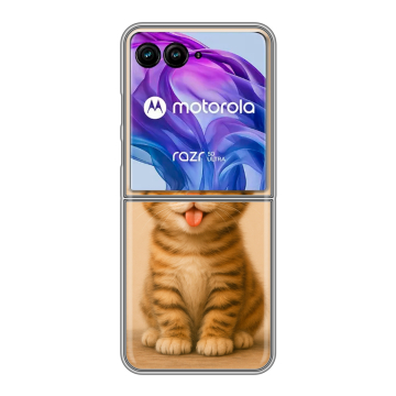 Пластиковый чехол на Motorola Razr 50 Ultra с принтом котенок