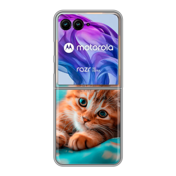 Пластиковый чехол на Motorola Razr 50 Ultra с принтом котик