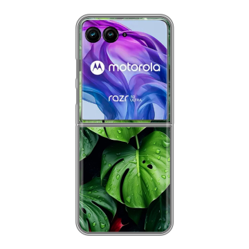 Пластиковый чехол на Motorola Razr 50 Ultra с принтом Листья