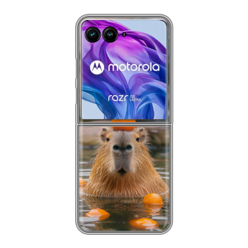 Пластиковый чехол на Motorola Razr 50 Ultra с принтом Капибара с апельсином