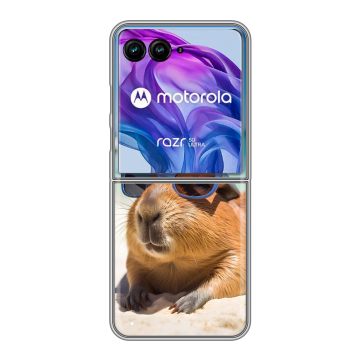 Пластиковый чехол на Motorola Razr 50 Ultra с принтом Капибара