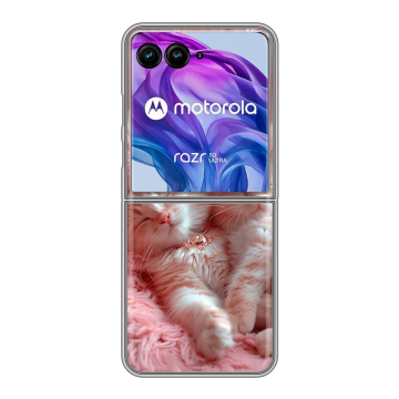 Пластиковый чехол на Motorola Razr 50 Ultra с принтом котята котики