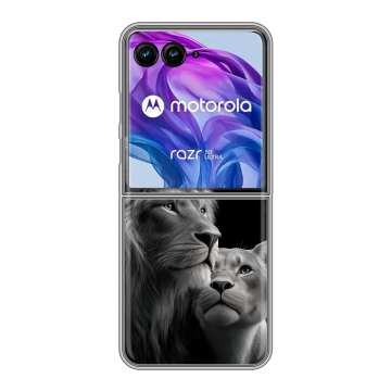 Пластиковый чехол на Motorola Razr 50 Ultra с принтом Лев кошки Пластиковый чехол на Motorola Razr 50 Ultra с принтом Лев кошки