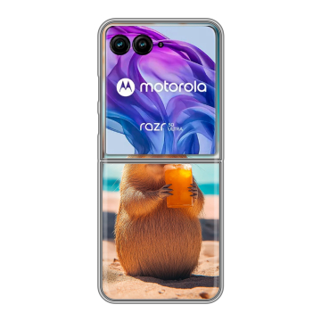 Пластиковый чехол на Motorola Razr 50 Ultra с принтом Капибара
