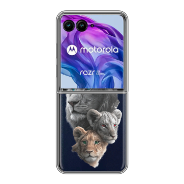 Пластиковый чехол на Motorola Razr 50 Ultra с принтом Львы Пластиковый чехол на Motorola Razr 50 Ultra с принтом Львы
