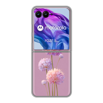 Пластиковый чехол на Motorola Razr 50 Ultra с принтом Цветы Пластиковый чехол на Motorola Razr 50 Ultra с принтом Цветы