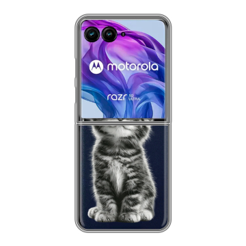 Пластиковый чехол на Motorola Razr 50 Ultra с принтом Котенок