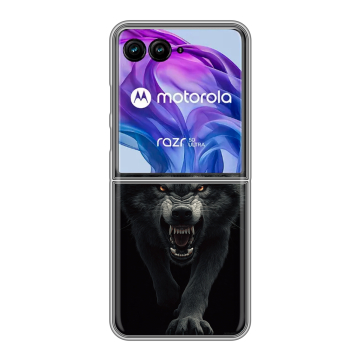 Пластиковый чехол на Motorola Razr 50 Ultra с принтом Волк