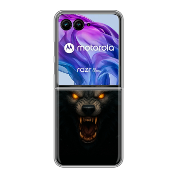 Пластиковый чехол на Motorola Razr 50 Ultra с принтом Волк Пластиковый чехол на Motorola Razr 50 Ultra с принтом Волк
