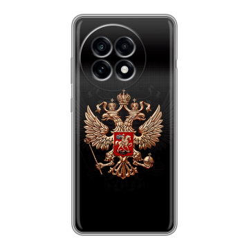 Силиконовый чехол на OnePlus 13R с принтом Герб России Силиконовый чехол на OnePlus 13R с принтом Герб России