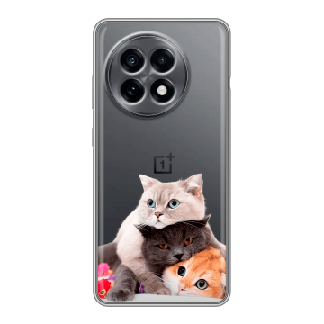 Силиконовый чехол на OnePlus 13R с принтом Кошки Силиконовый чехол на OnePlus 13R с принтом Кошки