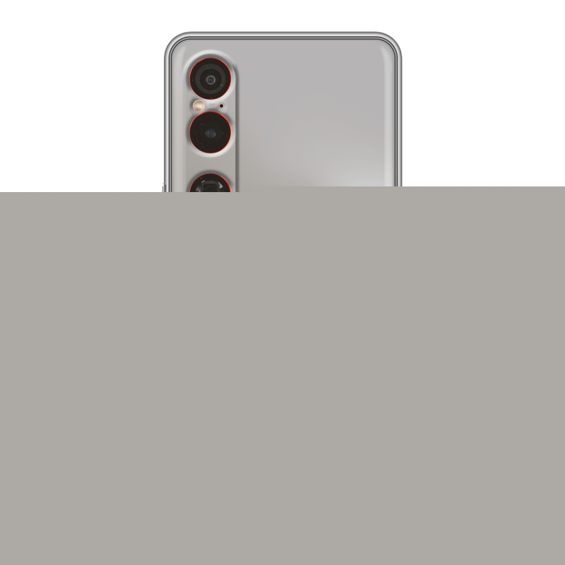 Силиконовый чехол на Sony Xperia 1 VI с принтом Лев с короной Силиконовый чехол на Sony Xperia 1 VI с принтом Лев с короной