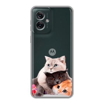 Силиконовый чехол на Motorola Moto G55 с принтом Кошки
