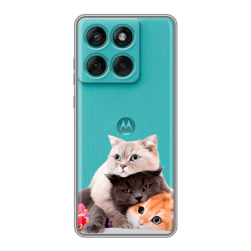 Силиконовый чехол на Motorola Edge 60 Fusion с принтом Кошки Силиконовый чехол на Motorola Edge 60 Fusion с принтом Кошки