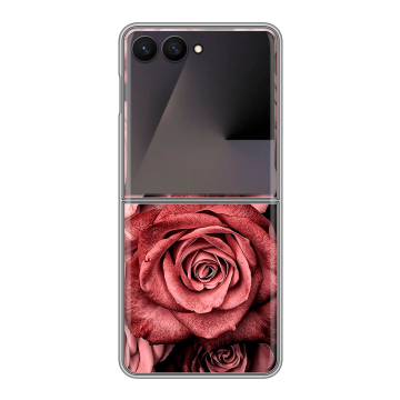 Пластиковый чехол на Samsung Galaxy Z Flip 7 с принтом Цветы розы Пластиковый чехол на Samsung Galaxy Z Flip 7 с принтом Цветы розы
