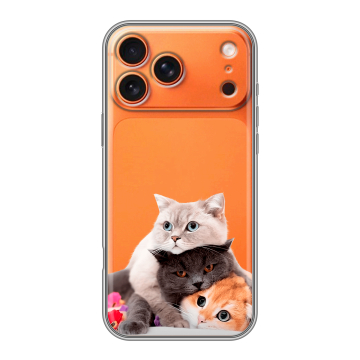 Силиконовый чехол на Iphone 17 Pro с принтом Кошки