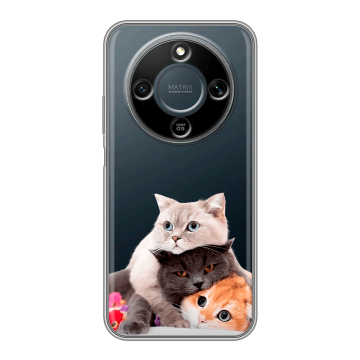 Силиконовый чехол на Honor X9d с принтом Кошки Силиконовый чехол на Honor X9d с принтом Кошки