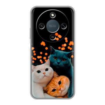 Силиконовый чехол на Honor X9d с принтом Кошки Силиконовый чехол на Honor X9d с принтом Кошки