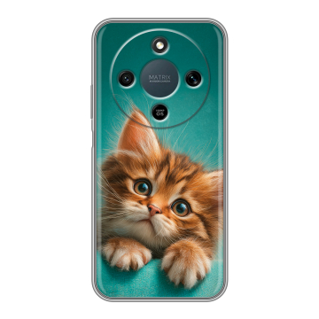 Силиконовый чехол на Honor X9d с принтом котенок Силиконовый чехол на Honor X9d с принтом котенок
